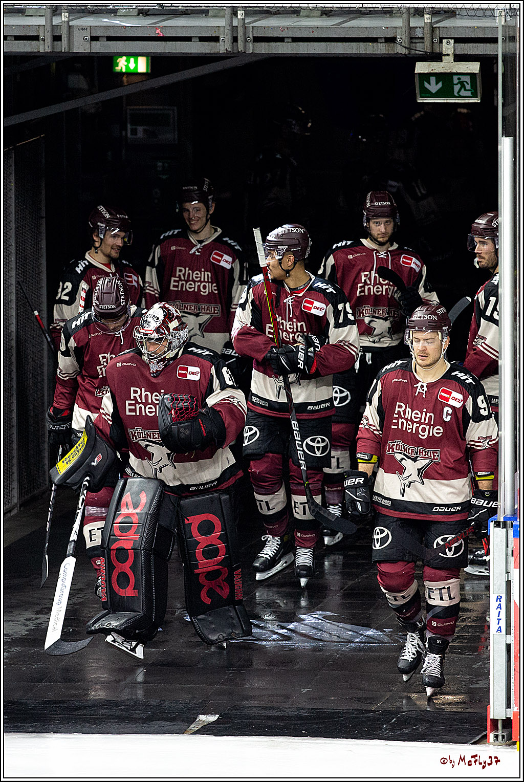 PENNY DEL;  Koelner Haie - Krefeld Pinguine; Koeln, 28.02.2021
